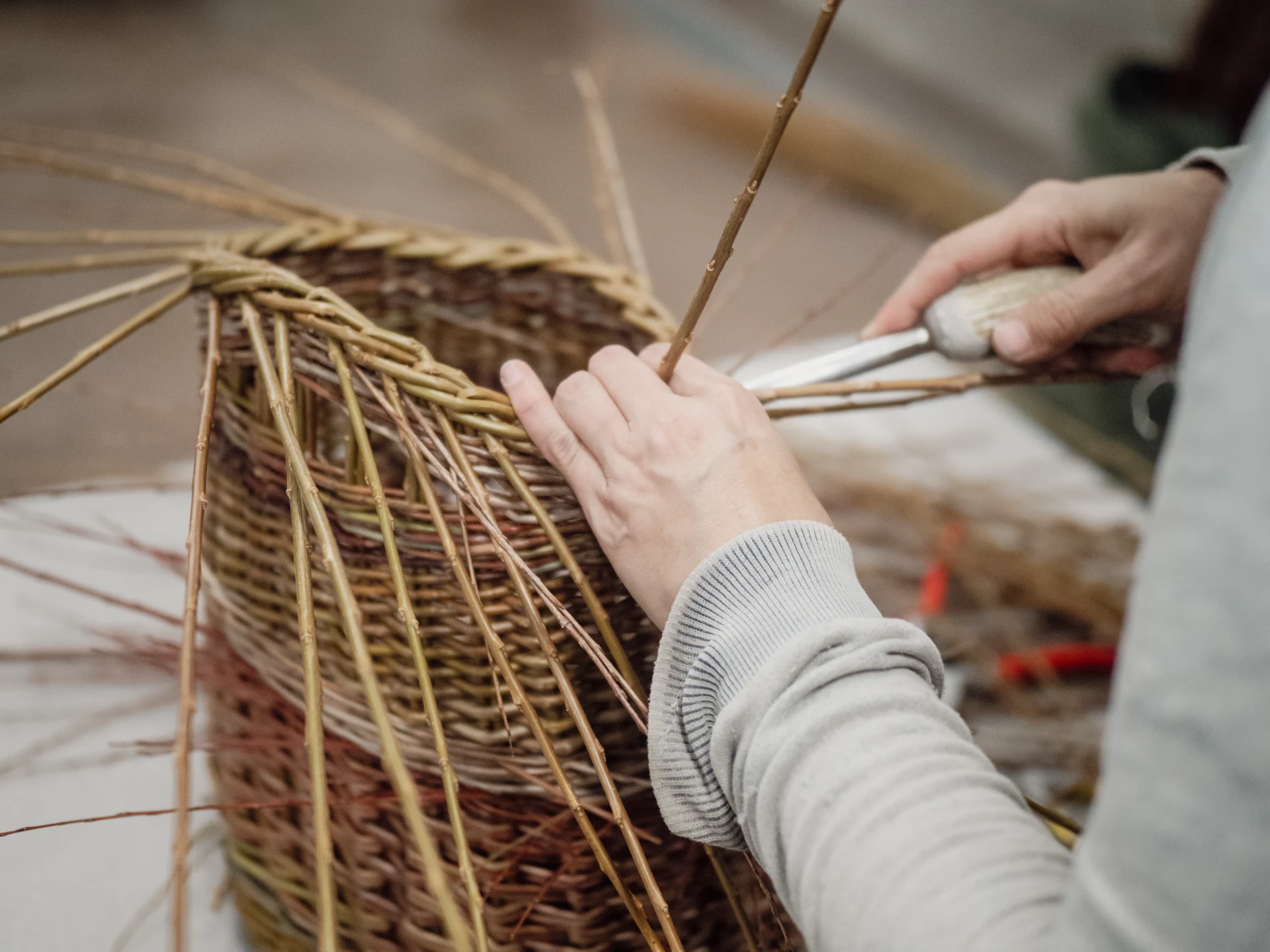 A round willow basket rests on the grass, with small yellow and violet flowers behind it.